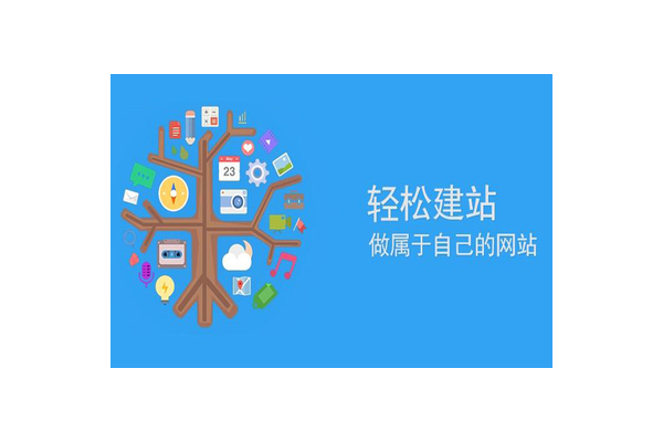 蜘蛛池做成的網站